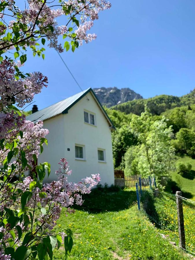 Villa Maglic Plužine Esterno foto