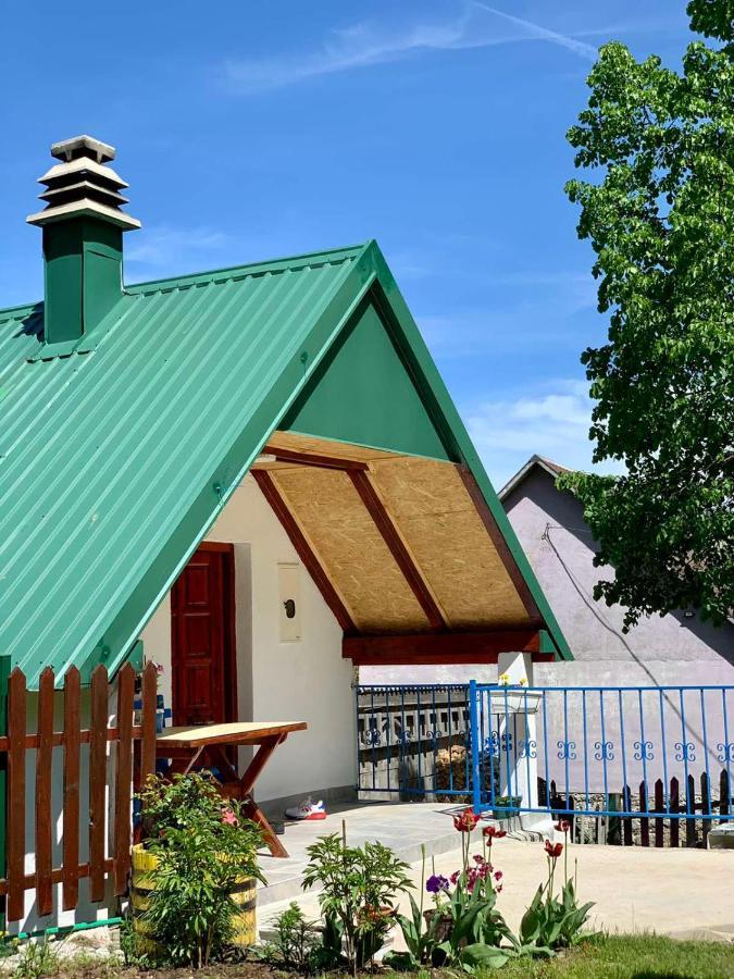 Villa Maglic Plužine Esterno foto