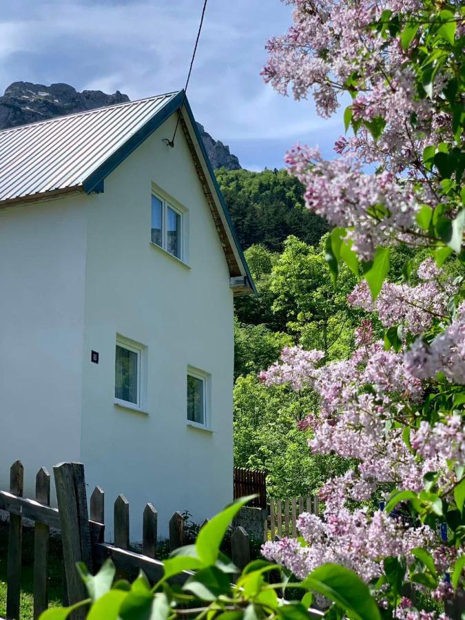 Villa Maglic Plužine Esterno foto
