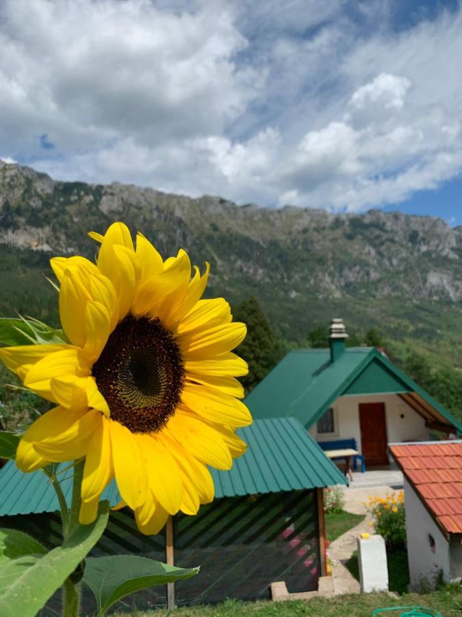 Villa Maglic Plužine Esterno foto